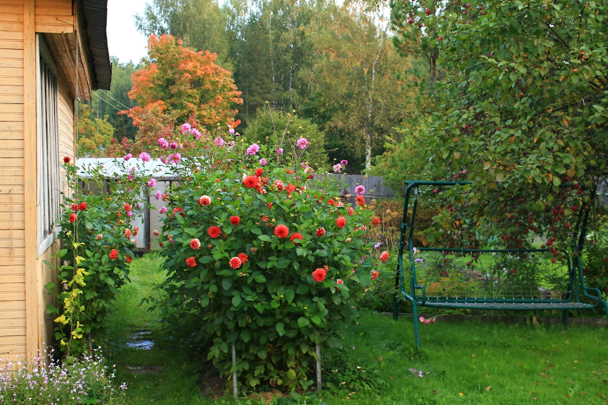 a garden with a bench and flowers in it