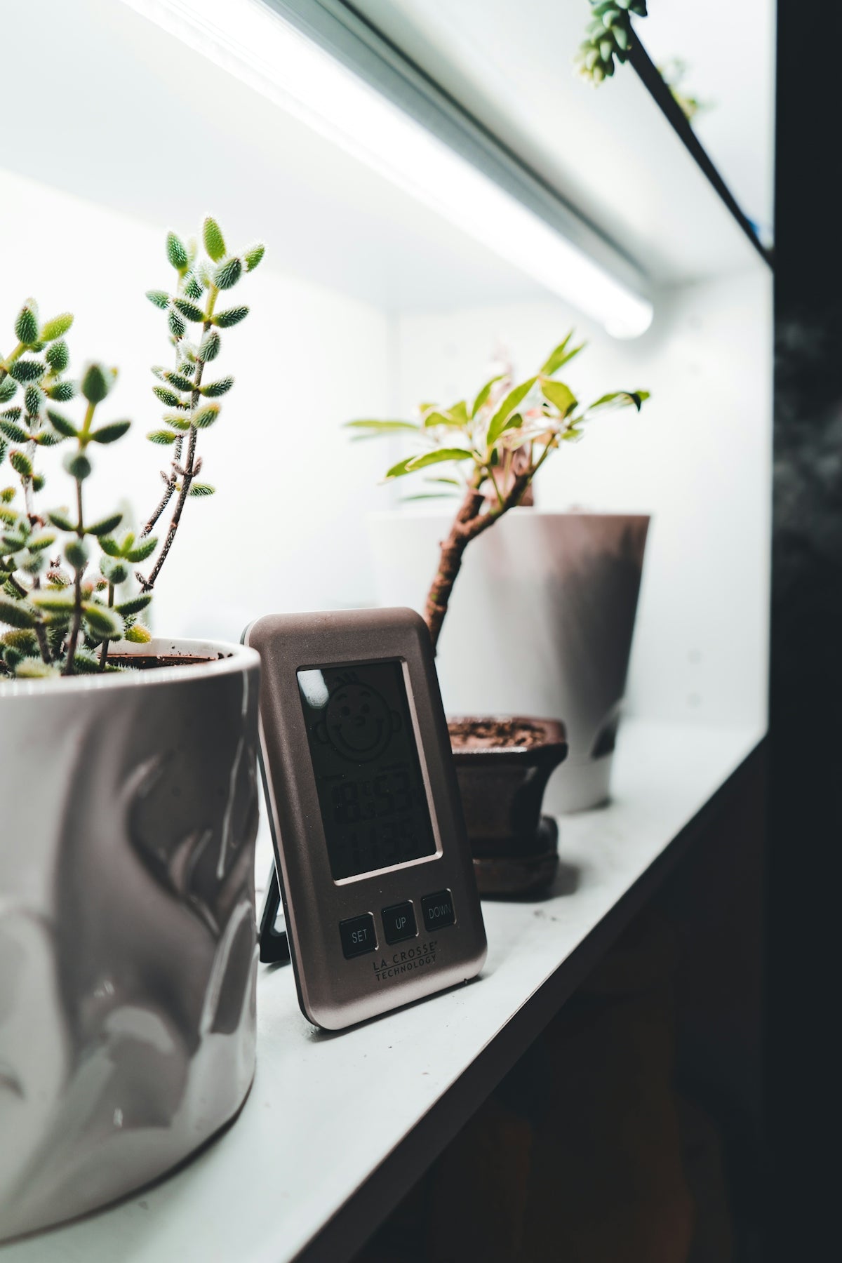 a cell phone sitting on top of a table next to a potted plant