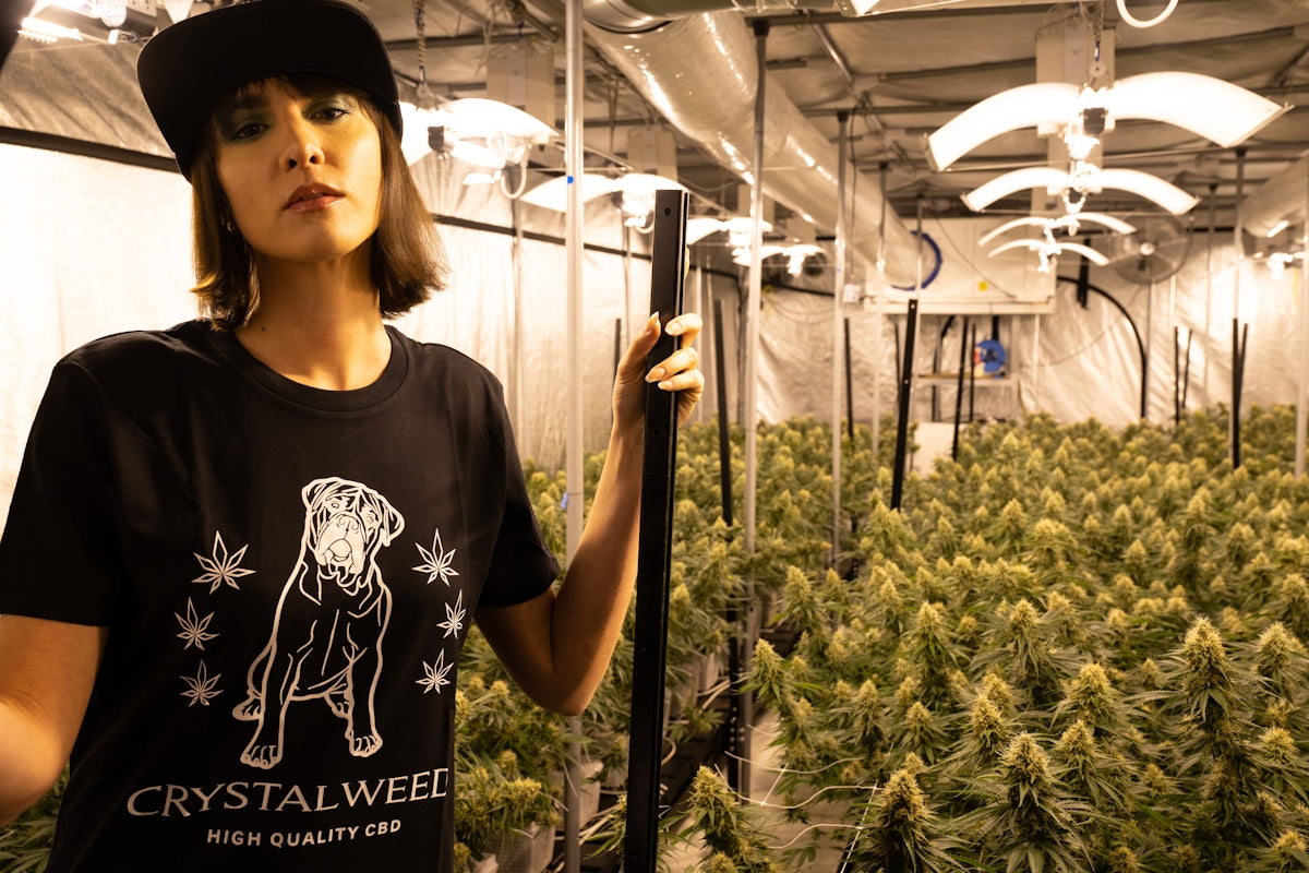 a woman holding a pole in a room full of plants