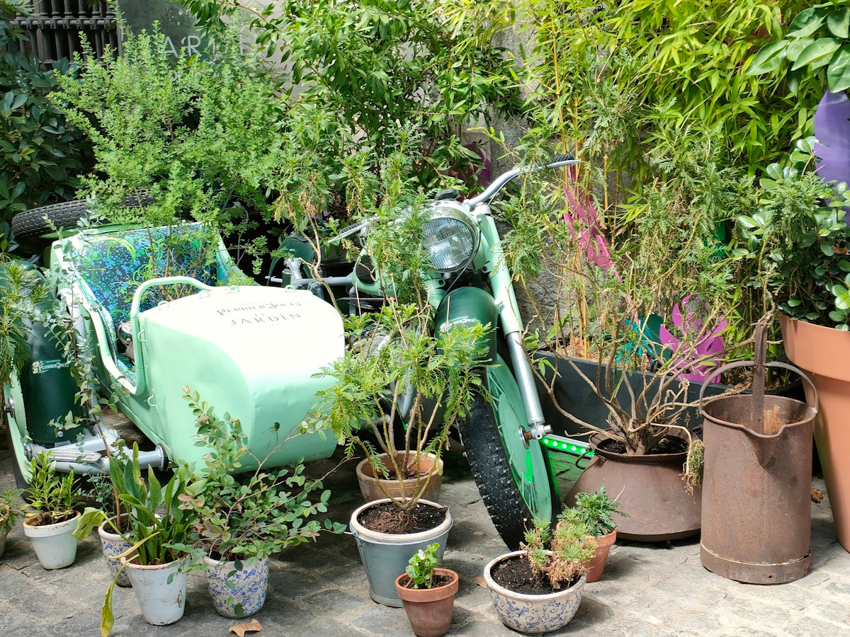 a motor scooter is surrounded by potted plants