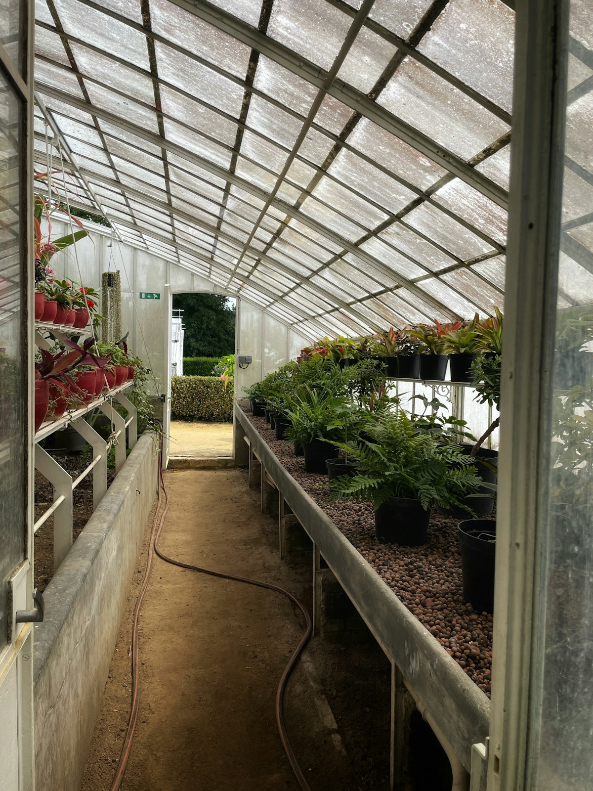 a greenhouse filled with lots of plants inside of a building