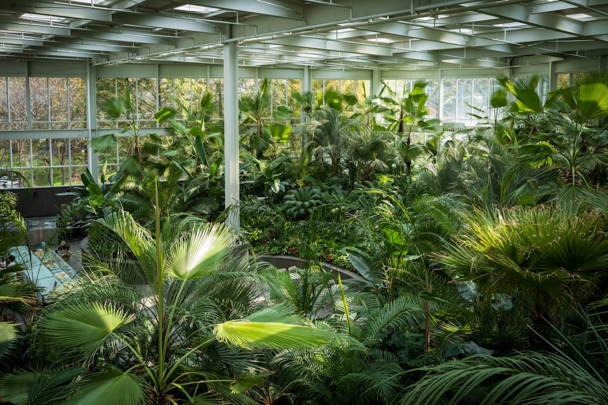 a greenhouse filled with lots of green plants