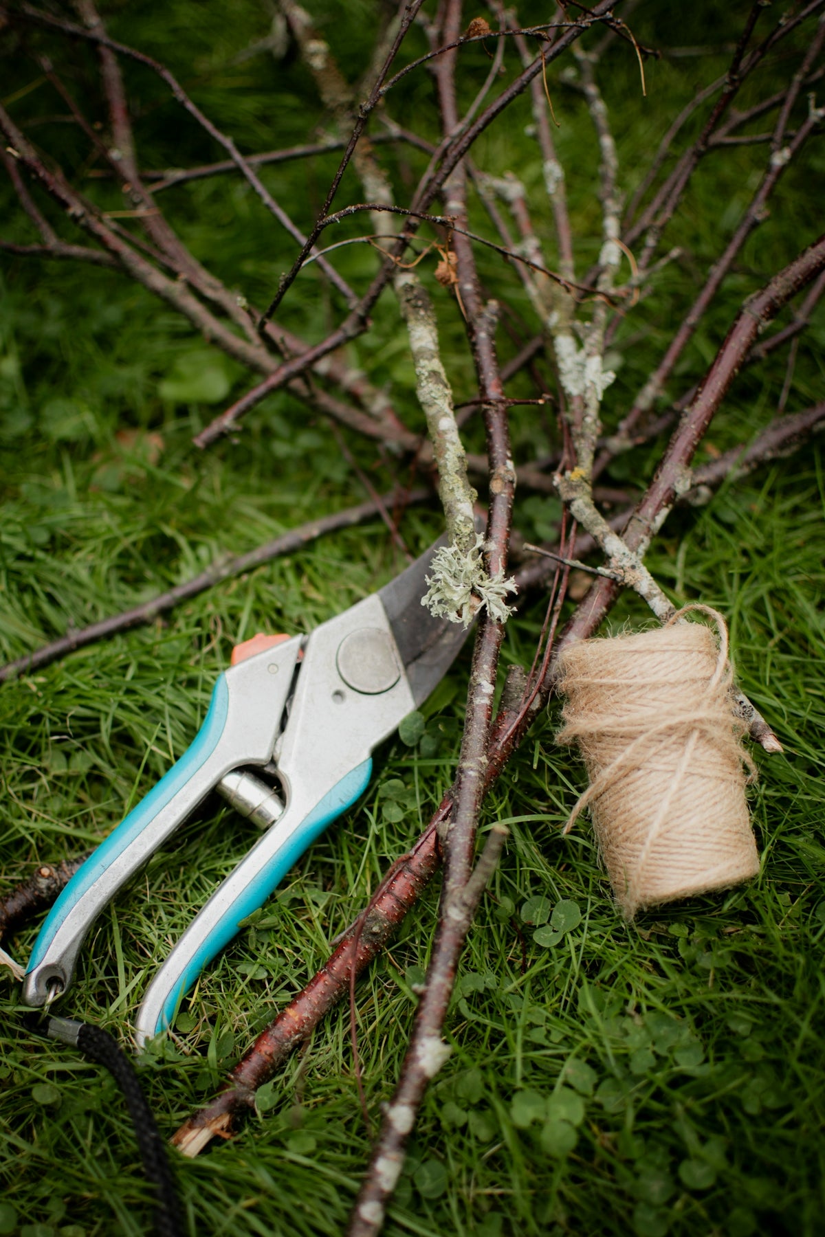 a pair of scissors sitting on top of a tree branch