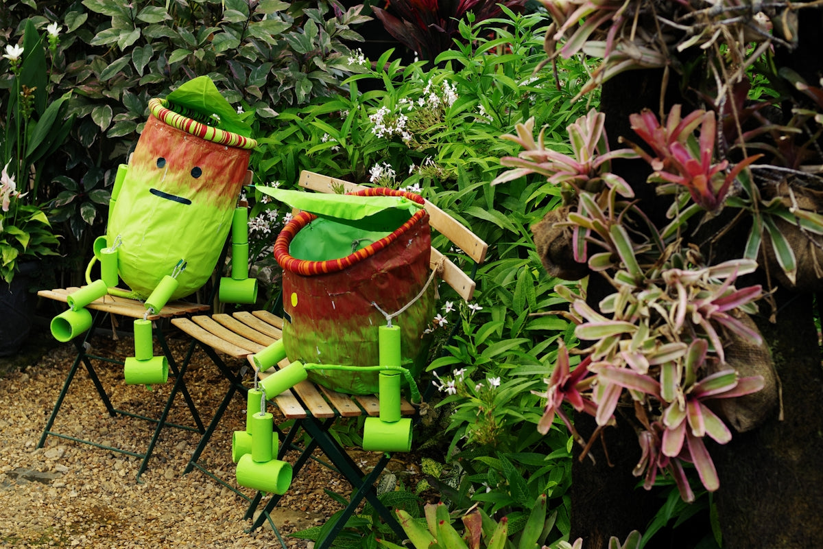A couple of green plants sitting next to each other