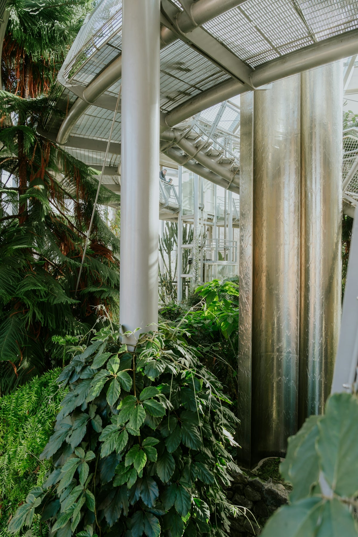 A greenhouse filled with lots of green plants