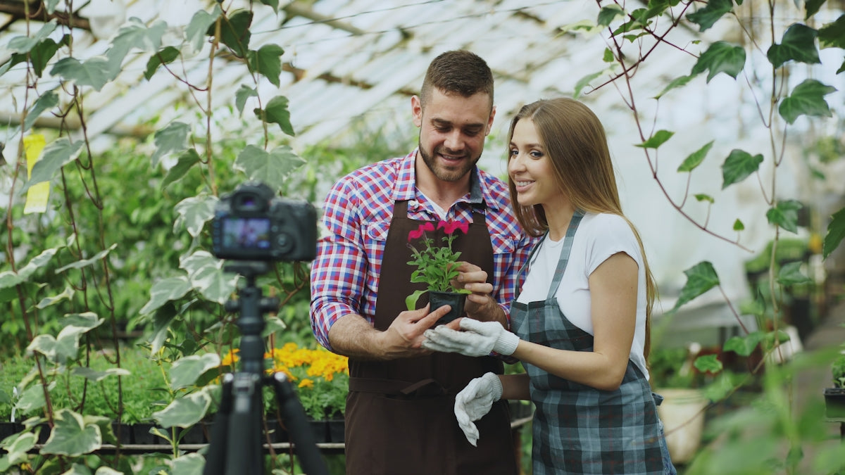 Couple filming themselves with a potted plant.