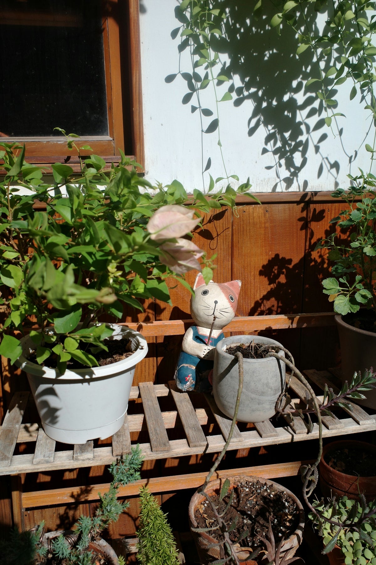 A small cat statue sits among potted plants.