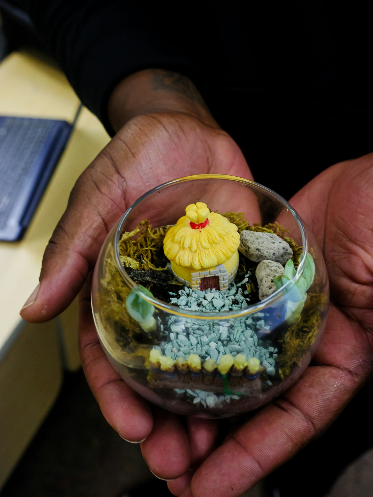 Hands holding a small terrarium with tiny house