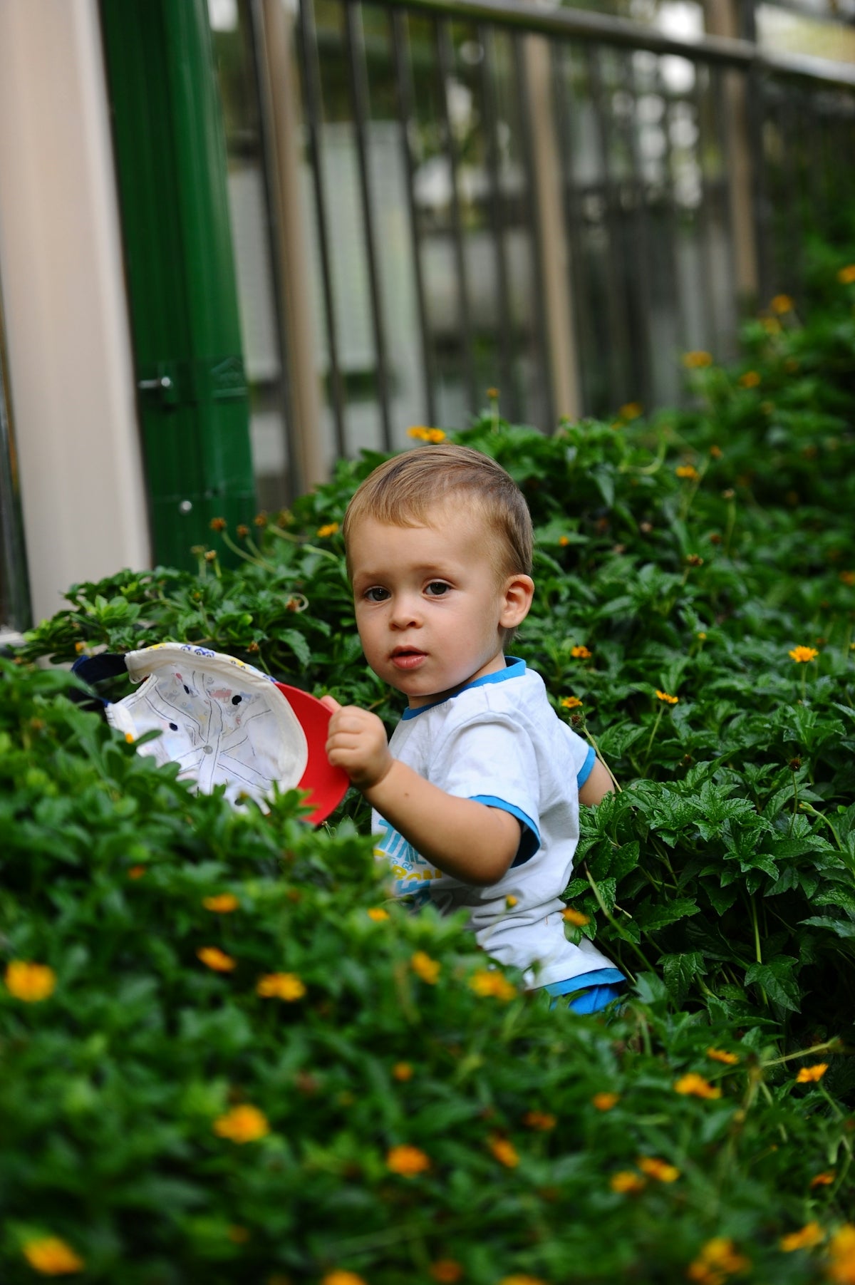A young child peeks out from green foliage