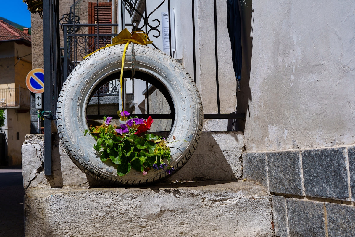 Old tire repurposed as a planter with flowers