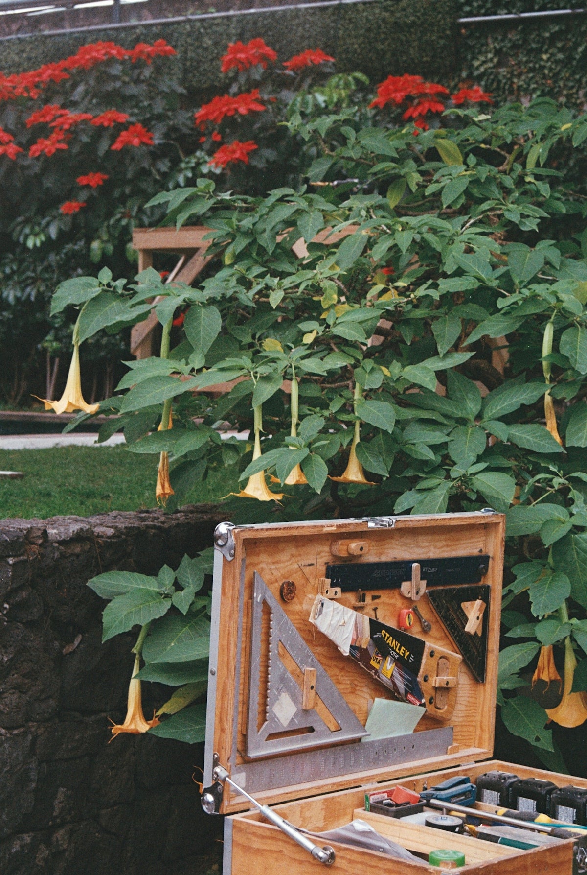 Open toolbox with tools and hanging yellow flowers