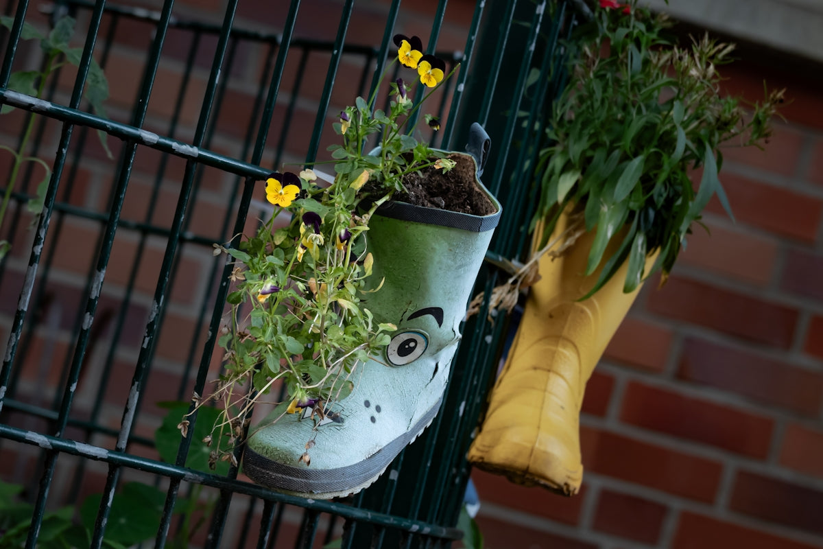 Creative planters: rubber boots hanging on a fence with flowers.