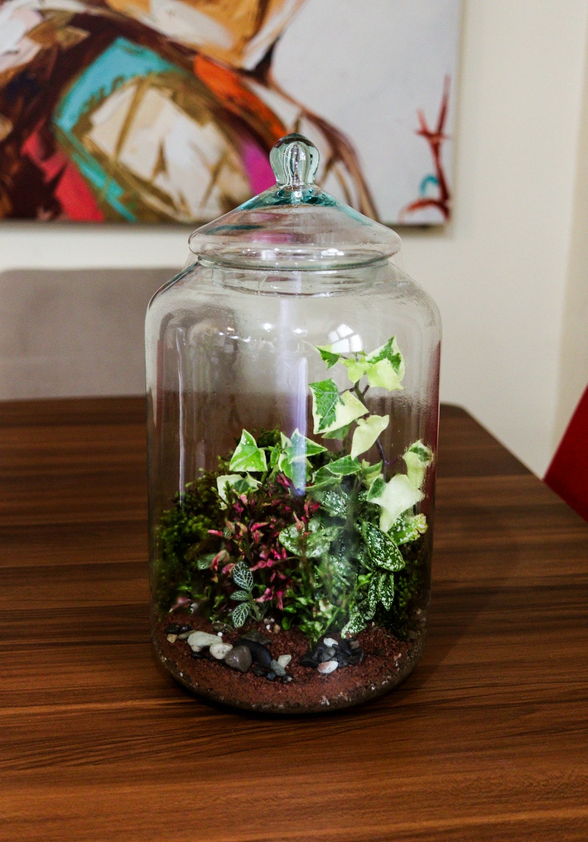 A beautiful terrarium with various plants on a wooden table.