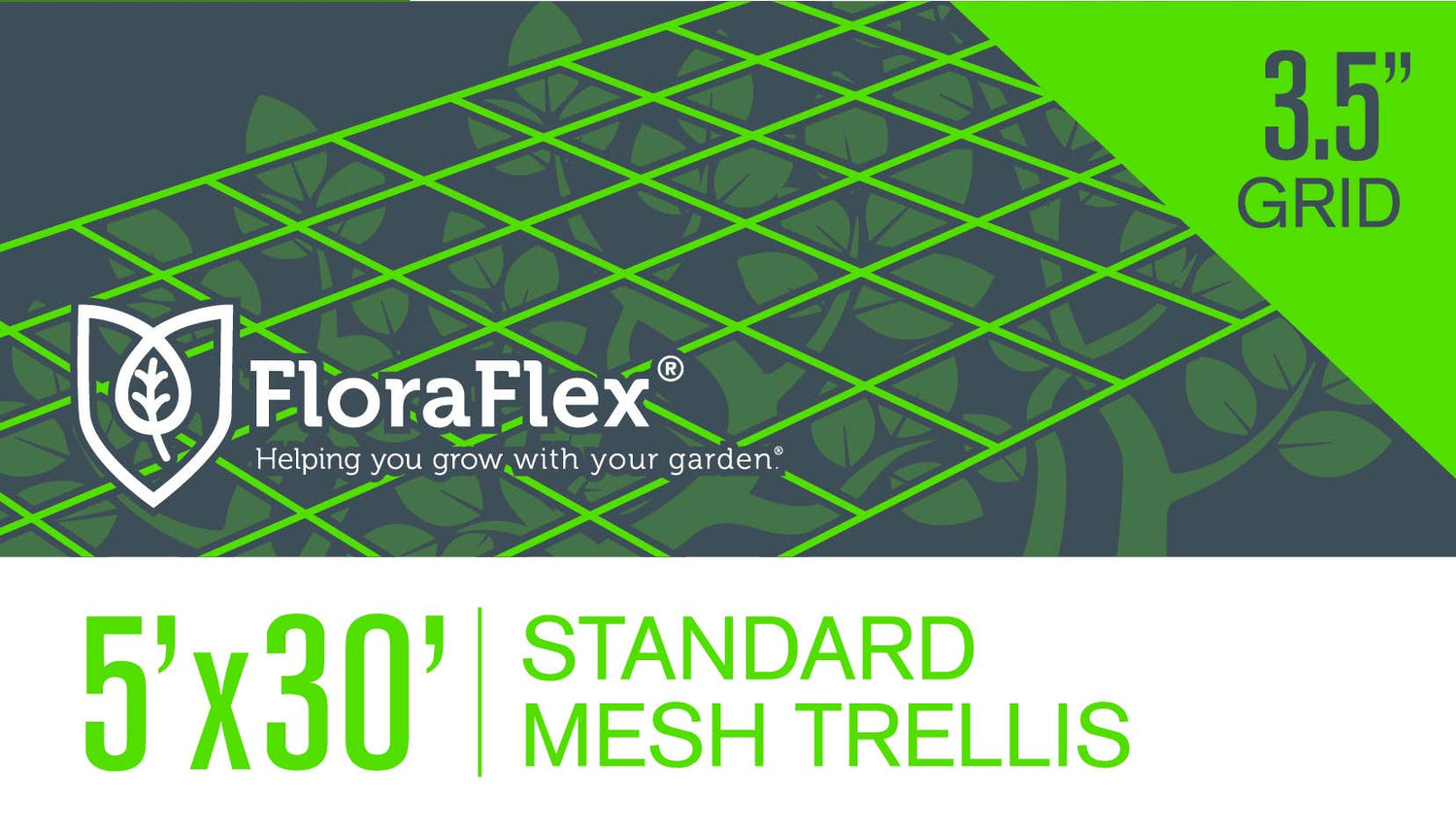 Trellis Net | 3.5