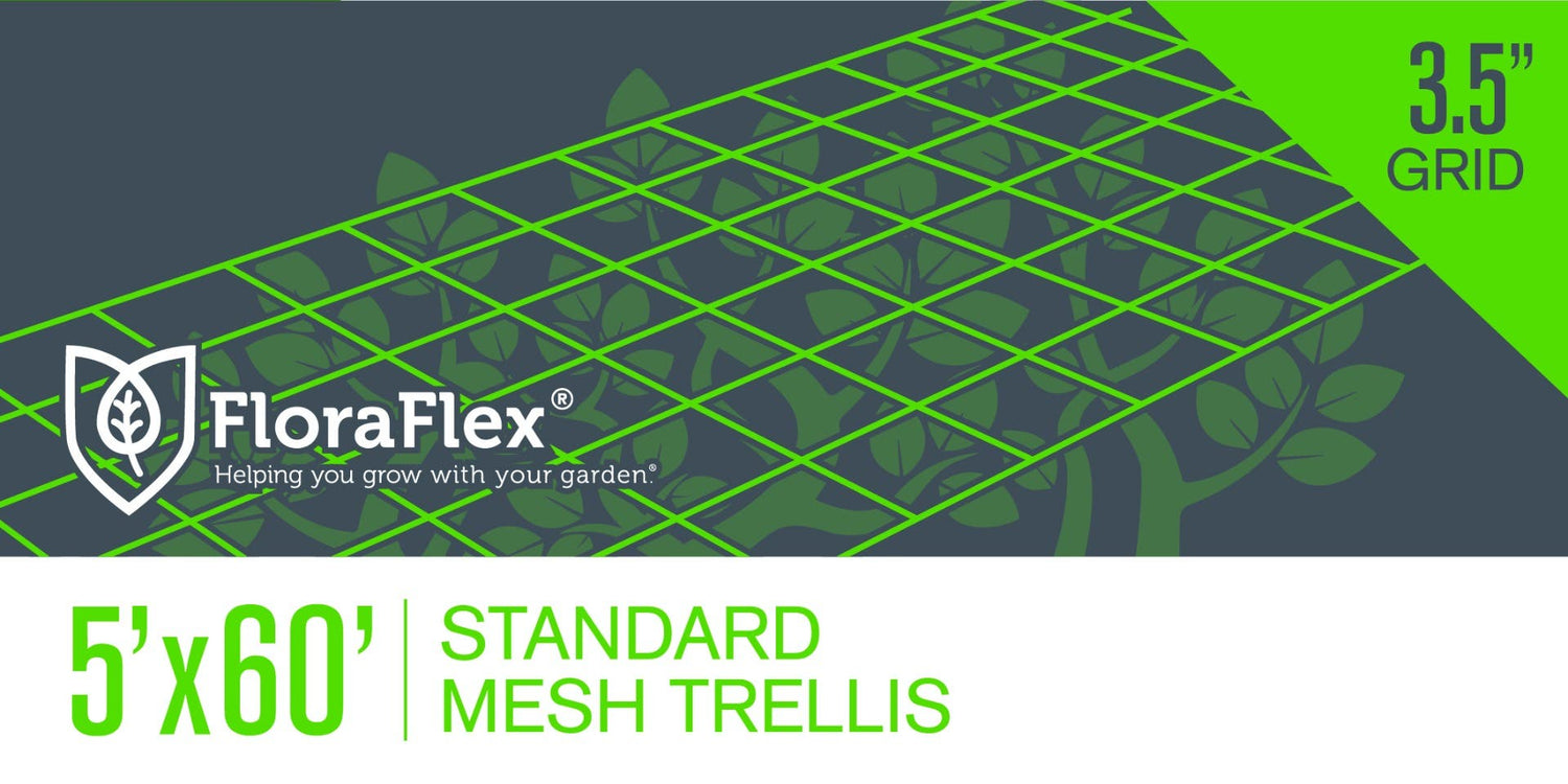 Trellis Net | 3.5