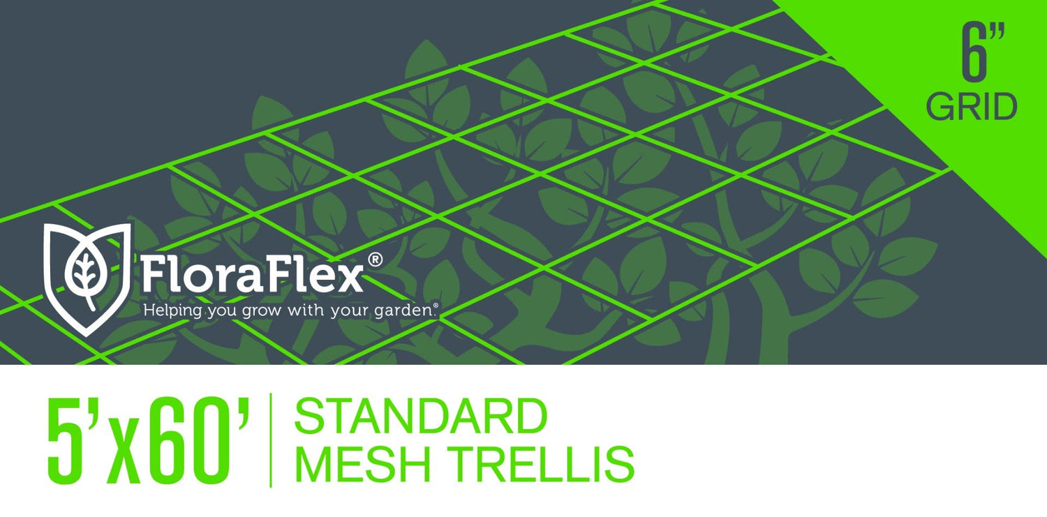 Trellis Net | 6