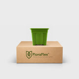 8" Tall Pot 2 Gal | Case