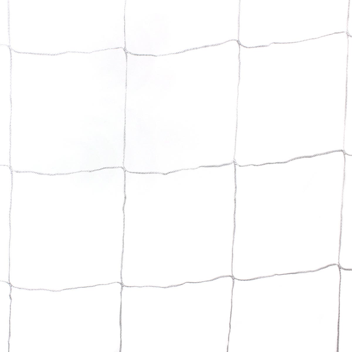 Trellis Net | 6