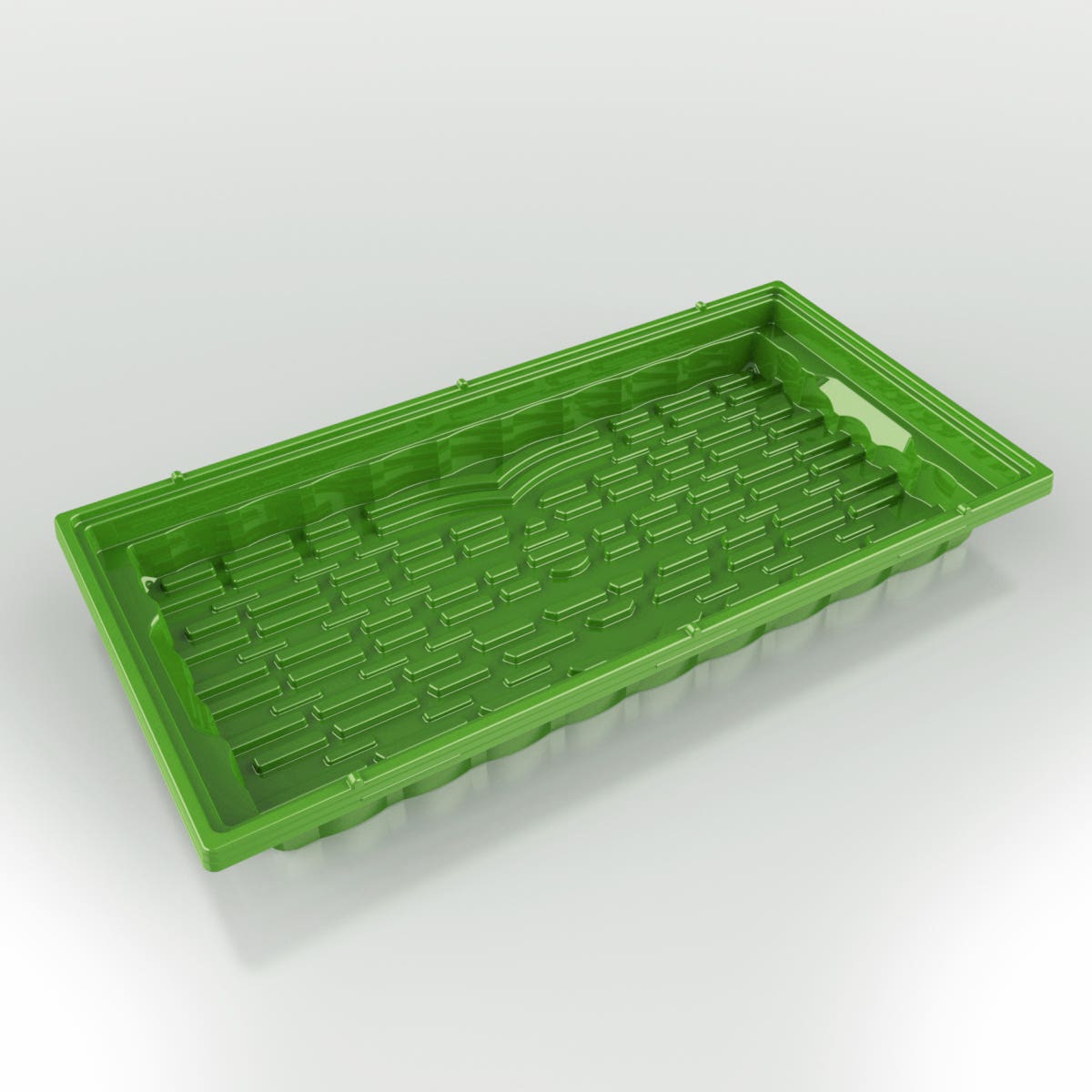 BottomTray_Main