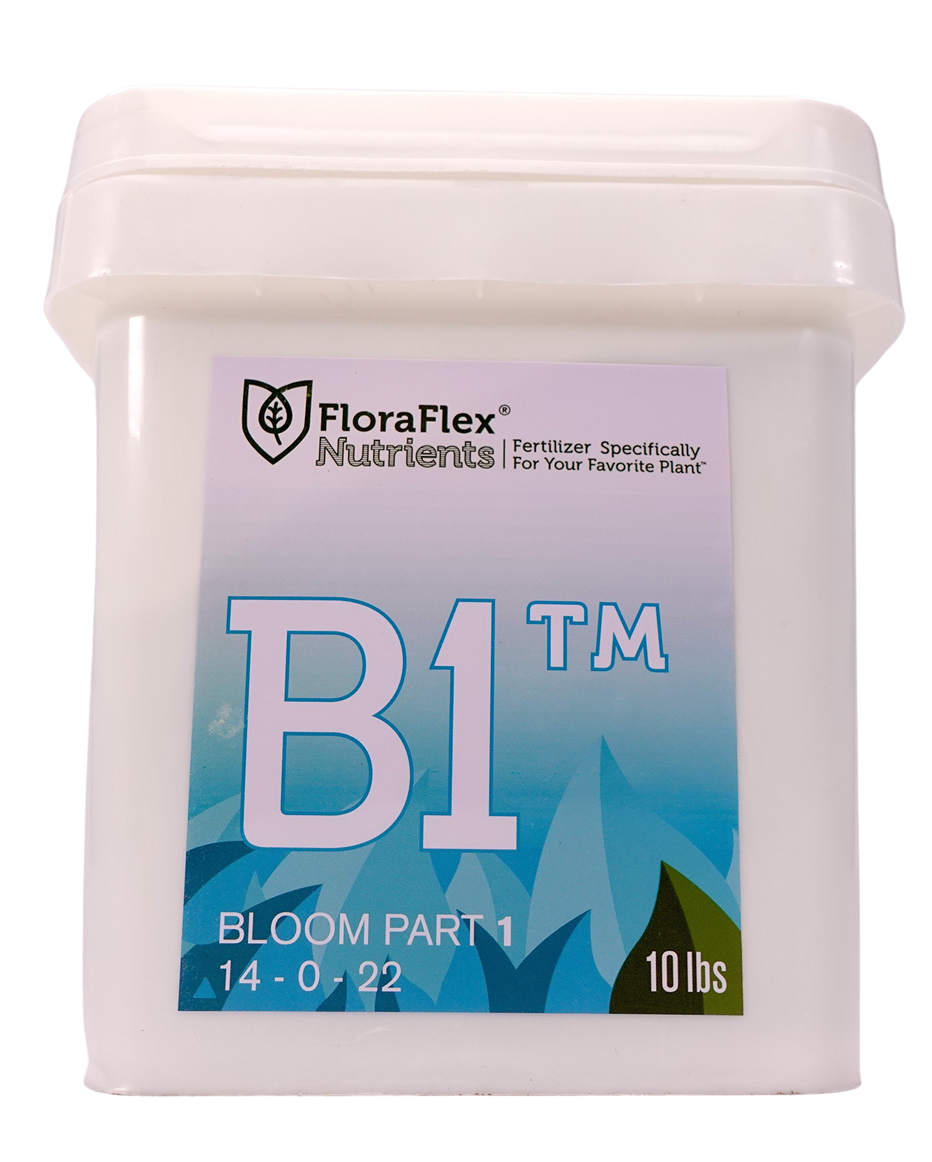 B1™ BLOOM PART 1