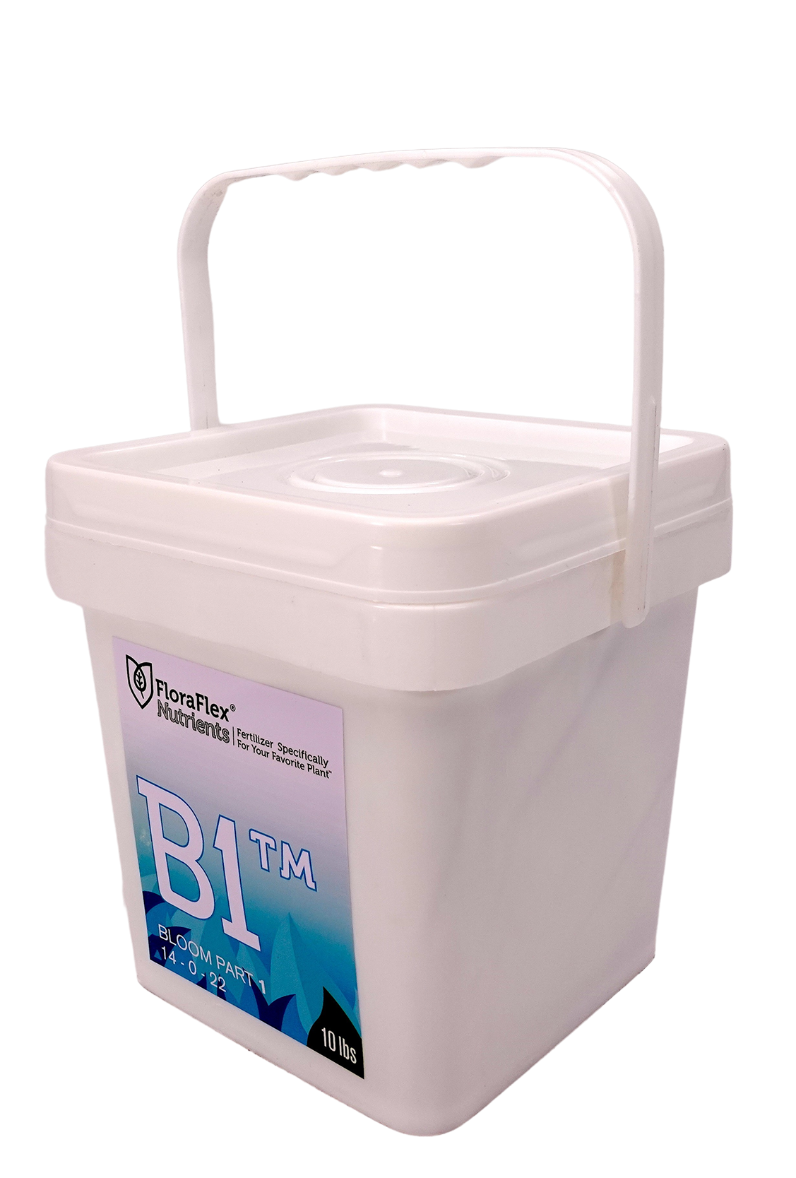 B1™ BLOOM PART 1